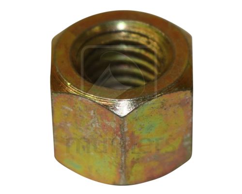 Extractor/Manifold Steel Nuts