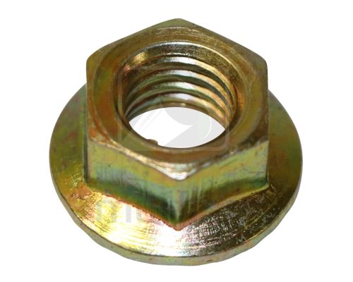 Extractor/Manifold Flanged Steel Nuts