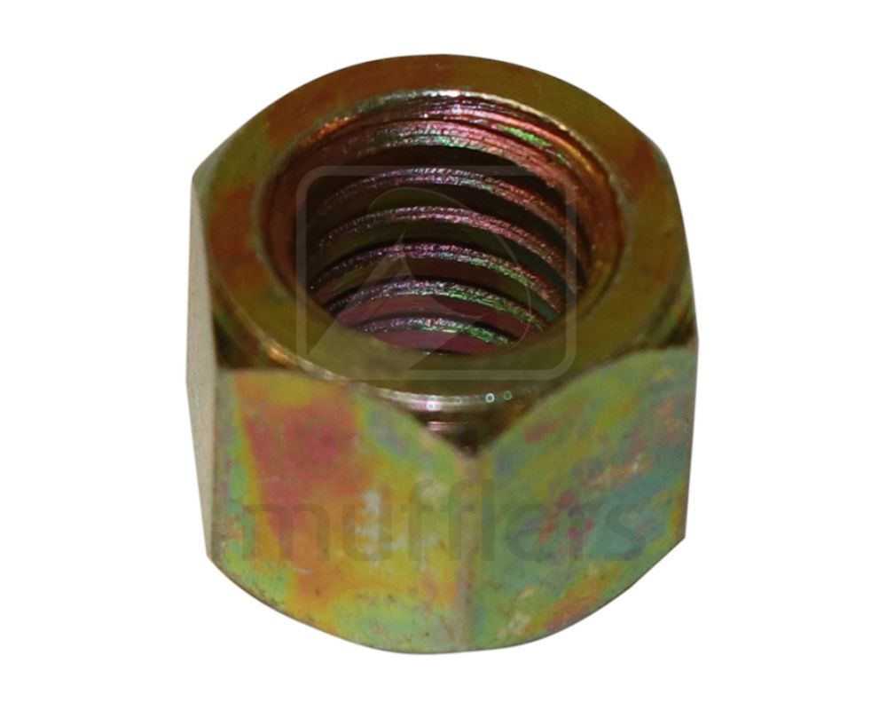 Extractor/Manifold Steel Nuts