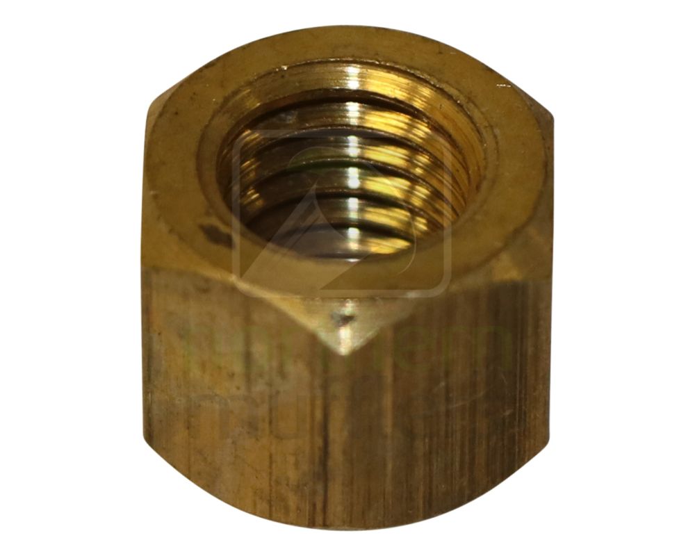 Extractor/Manifold Brass Nuts