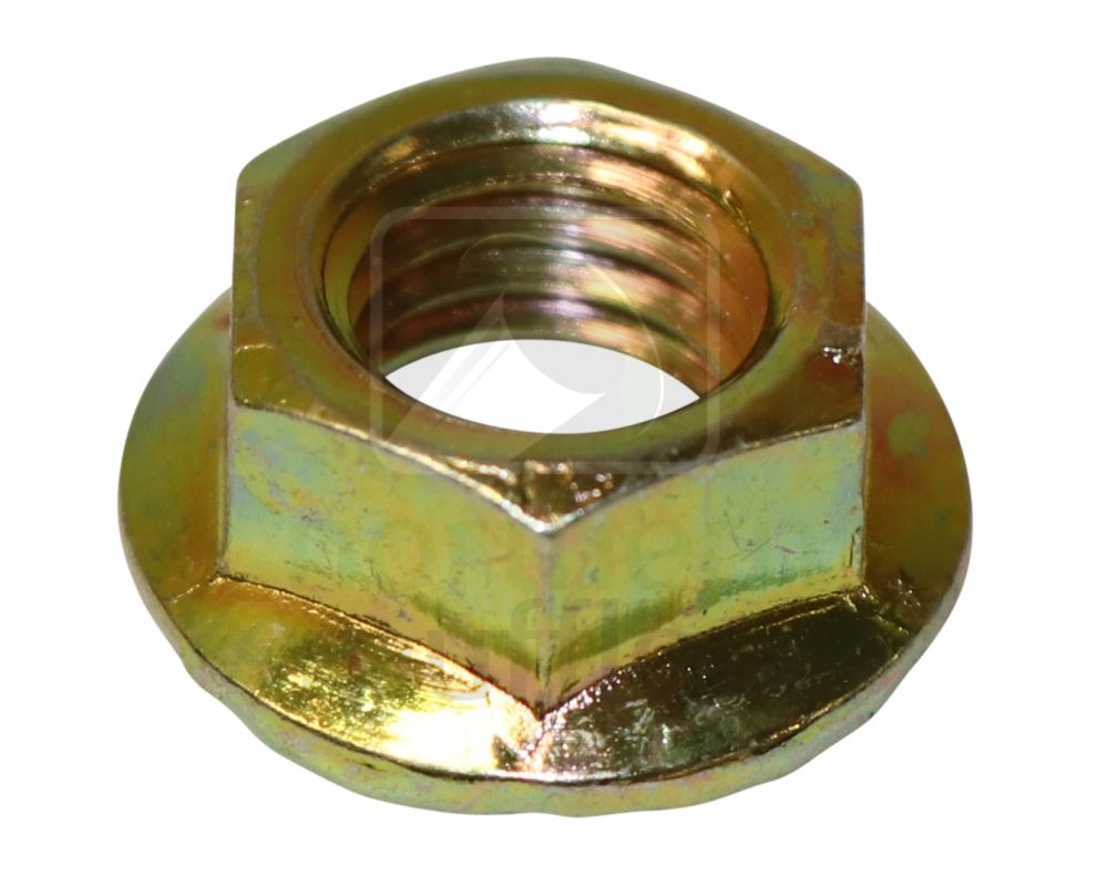 Extractor/Manifold Flanged Steel Nuts